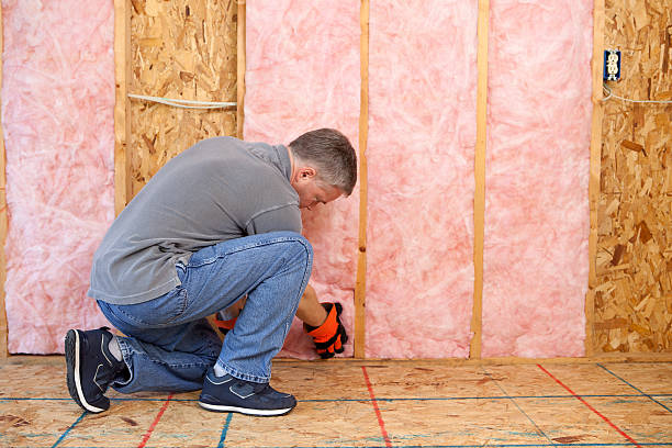 Best Attic Insulation Installation  in Fyffe, AL