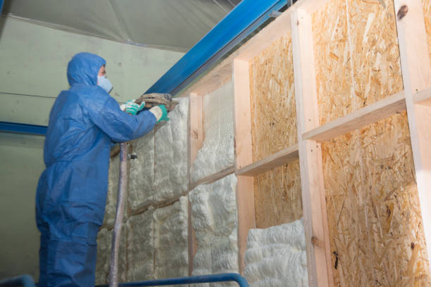 Best Local Insulation Services  in Fyffe, AL